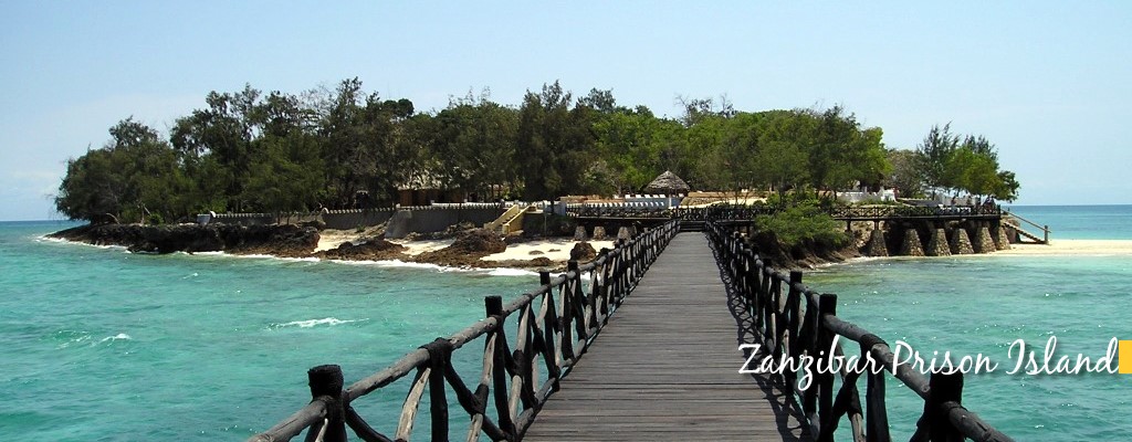 Prison Island Tour - Zanzibar